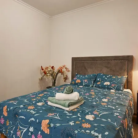 Moderne 2/3 Pieces Pres Du Port 尼斯